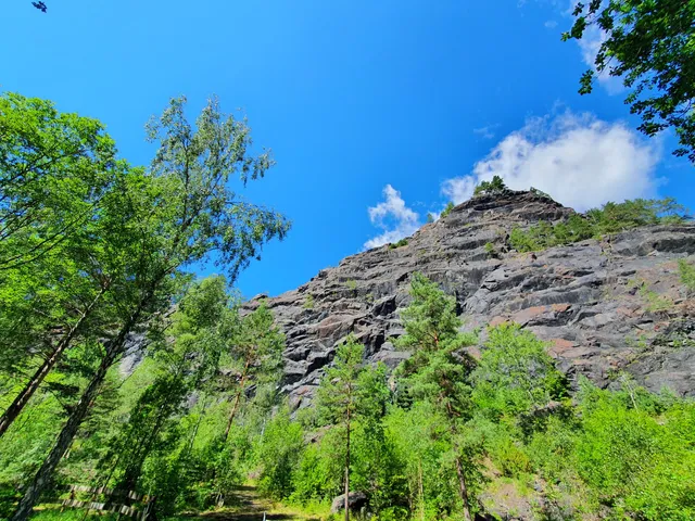 Naturreservat Taberg