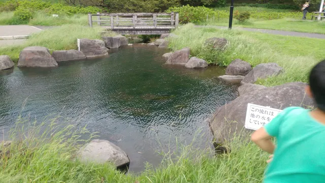あいのやまの湯