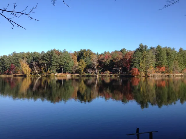 Leoni's Mountain Lake Cottages