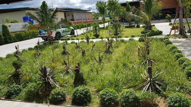 บริษัท บุญสมทบ จำกัด