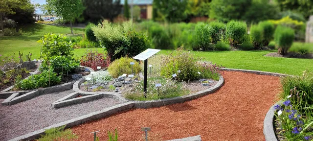 Blåsenhusbiblioteket