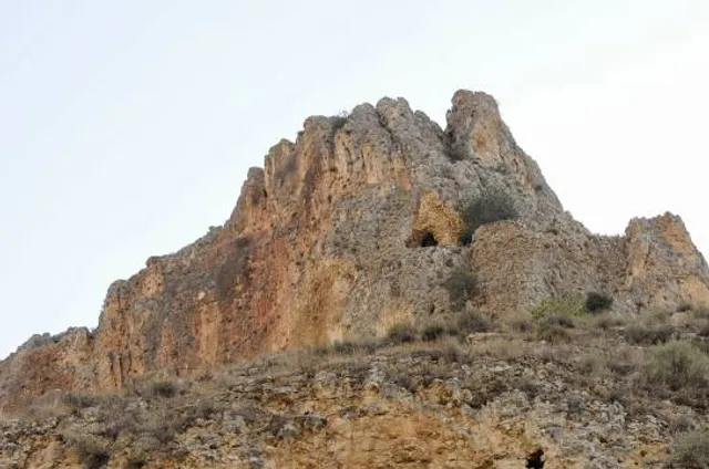photo-1