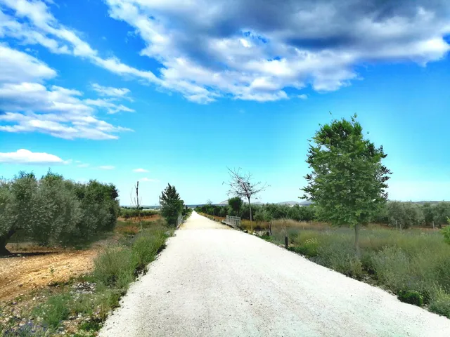 La Roda de Andalucía