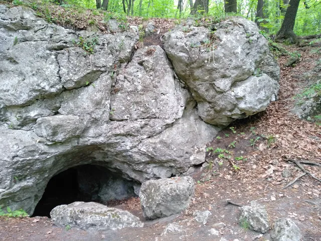 Reserve Zielona Gora