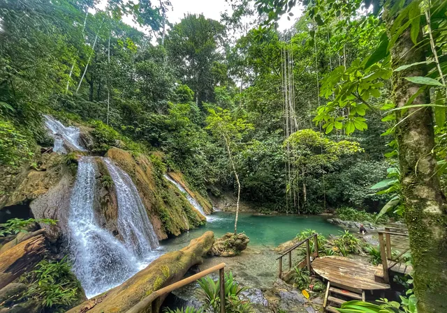 Sendero de bosque tropical Las Escobas