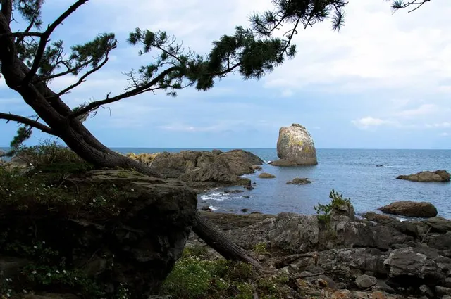 Sanriku Fukkō National Park