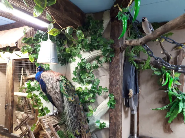 City History Museum Bataysk