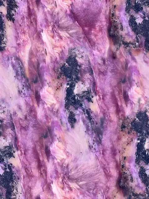 Bryukhovytsʹkyi forest