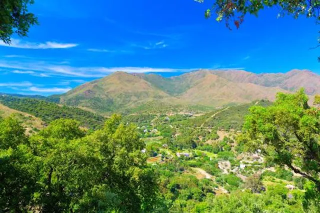 Paraje Natural Los Reales de Sierra Bermeja