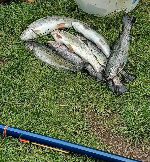 Neosho National Fish Hatchery Visitor Center