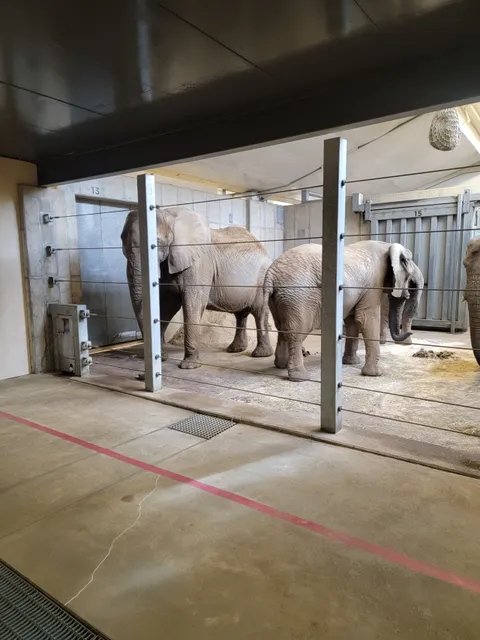 Zoo Auditorium
