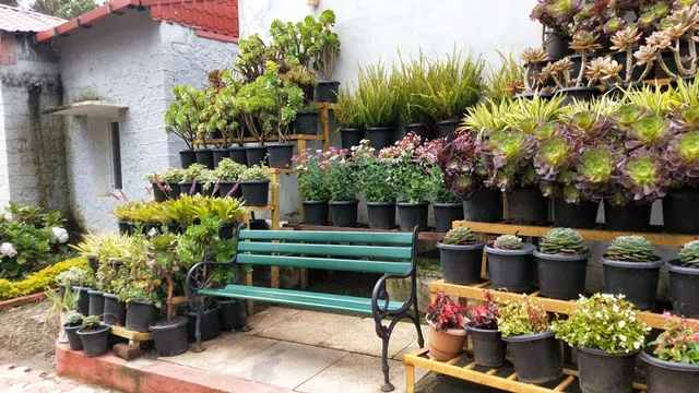 Government Rose Garden, Kodaikanal