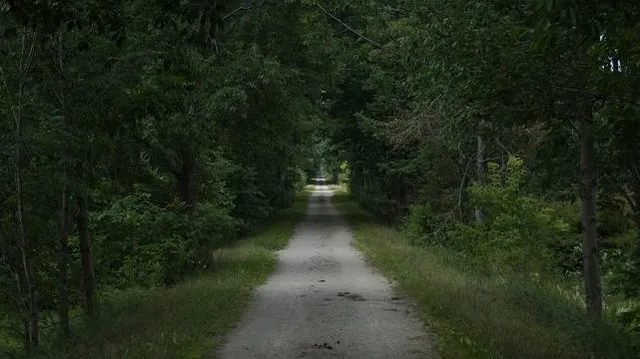 Old Rail Trail (Whitegates, Athlone)