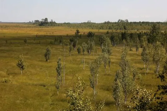 Полистовский государственный заповедник / Polistovsky National Nature Reserve