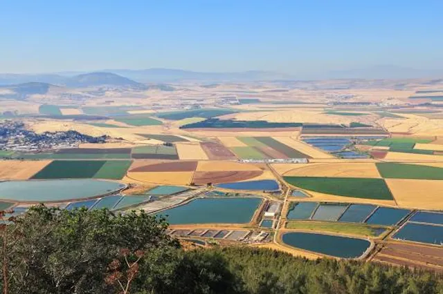 Mount Barkan Lookout