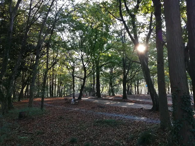 Higashifukai district park (ancient tomb park)