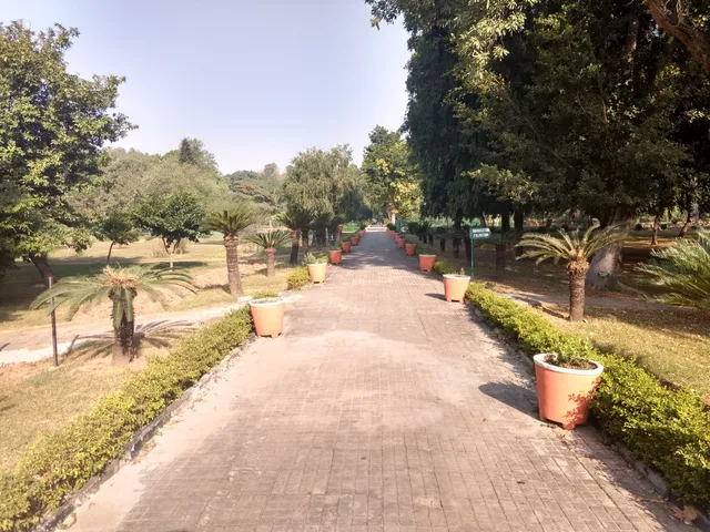 PN Mehra Botanical Garden