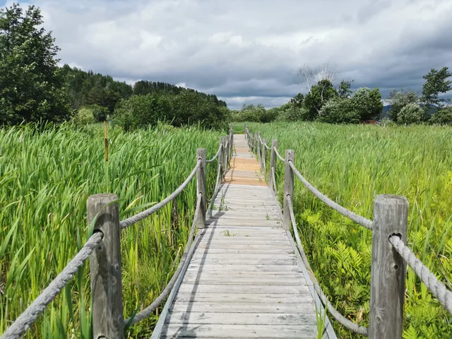 Sentier des Marais