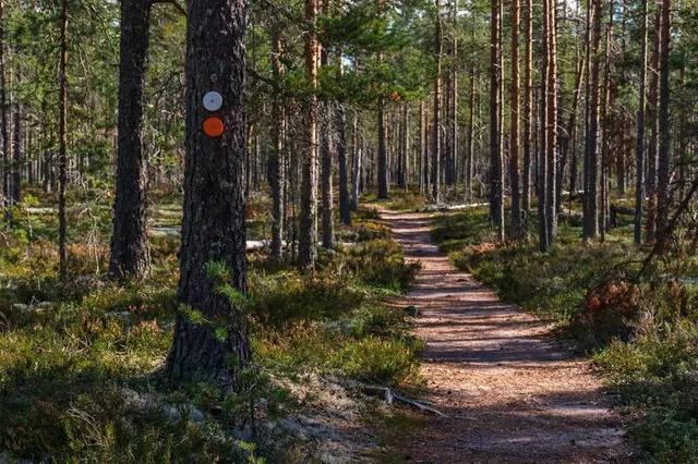 Lauhanvuori National Park