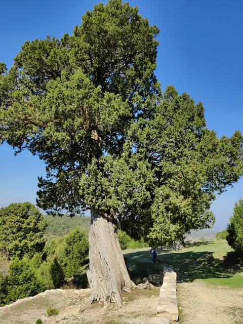 Puebla de San Miguel