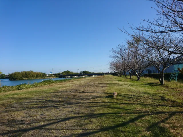 Mitsuai Park