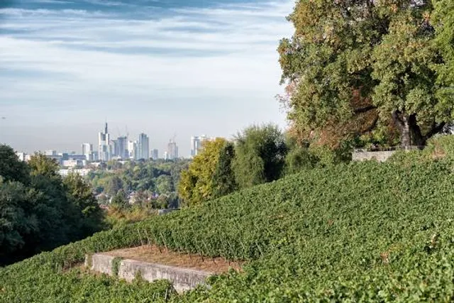 Lohrberg (Frankfurt)