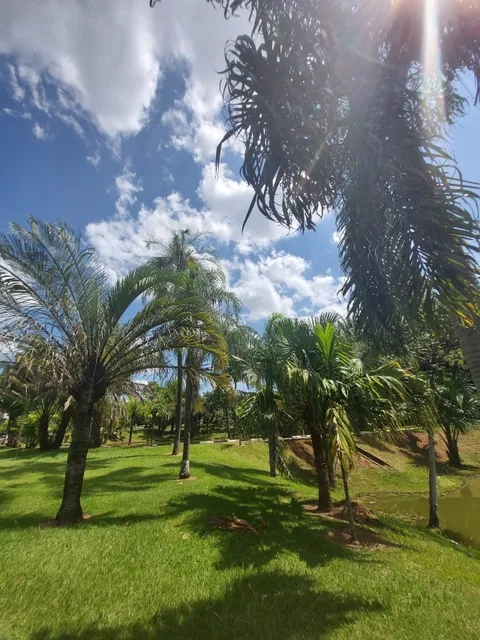 Jardim Botânico - Adelmo Piva Junior