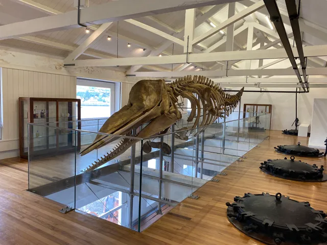 Azores Ocean Observatory