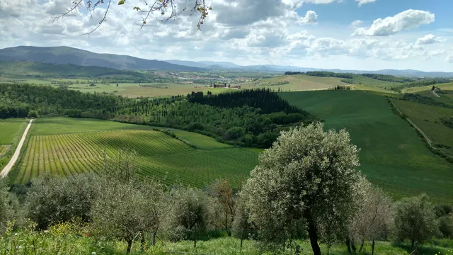Tenuta di Bibbiano