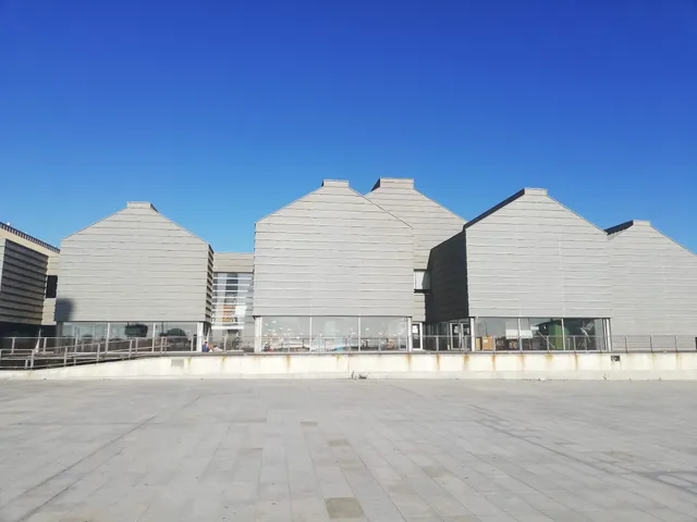 photo-3