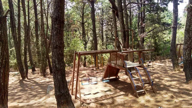 Parque De Los Venados Nepopualco