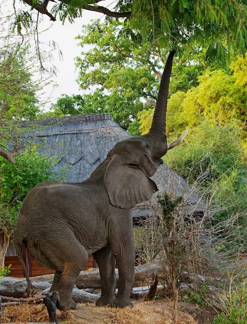 Zoo de Granby