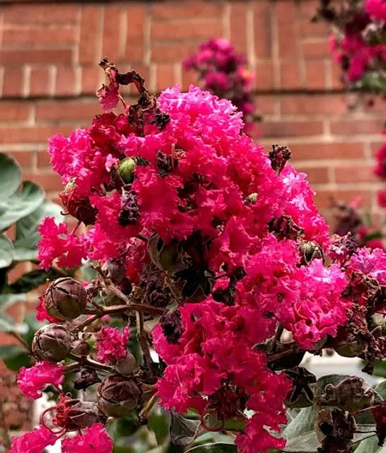 Hukou Hakka Creative Park