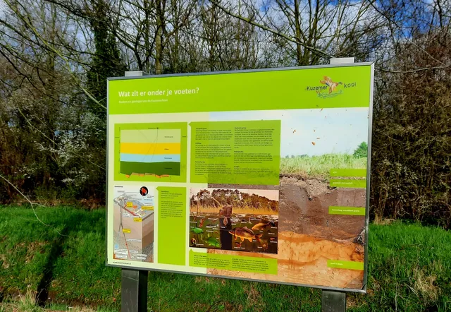 Kuzemerkooi natuurgebied