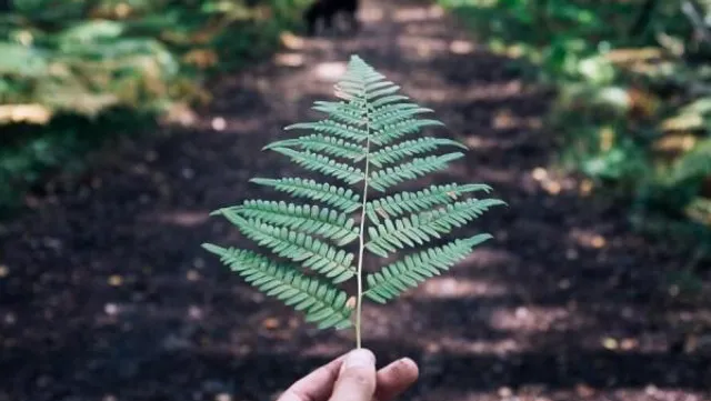 Visit Blekinge AB (svb)