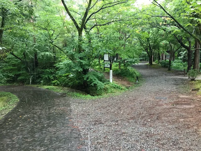 Yahikoshiroyama Forest Park