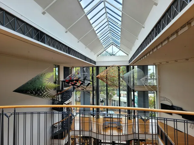 photo-1