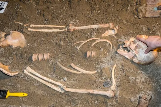 Musée de l'Alta Rocca - Museu di l'Alta Rocca