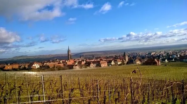 Vins d'Alsace Kamm Jean-Louis et Eric