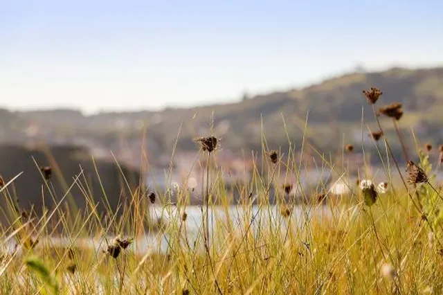 Claremont Hills Wilderness Park