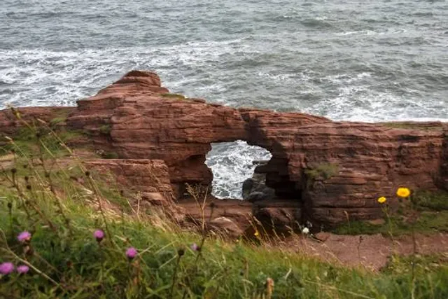 Arbroath Cliffs