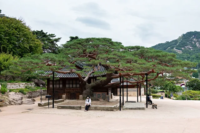 Seokpajeong