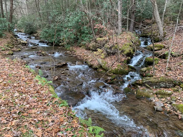 Upper Pine Bottom State Park