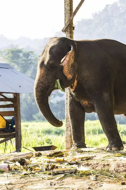 3D Art in Paradise Langkawi