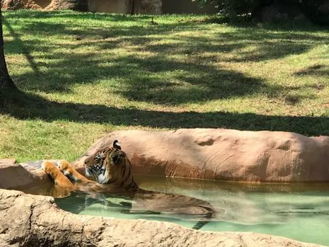 Little Rock Zoo