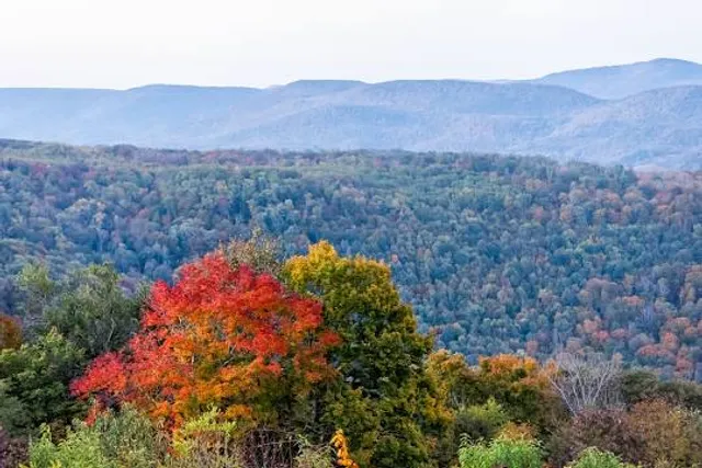 Monongahela National Forest