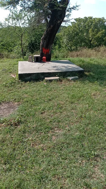 Sagas Ji Bavji Mandir