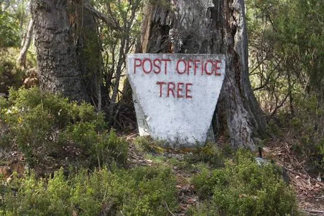 Post Office Tree