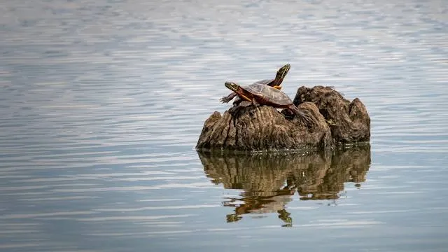 Stump Island Recreation Park