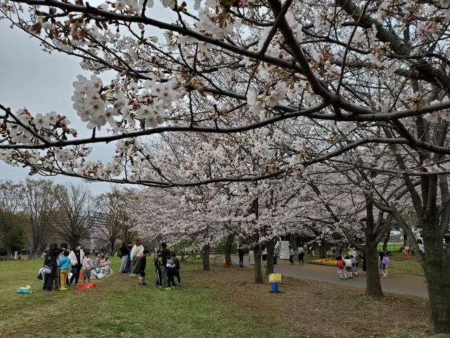 Nishitokyo Ikoi-no-mori Park